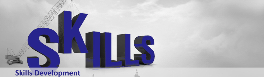Skills Development